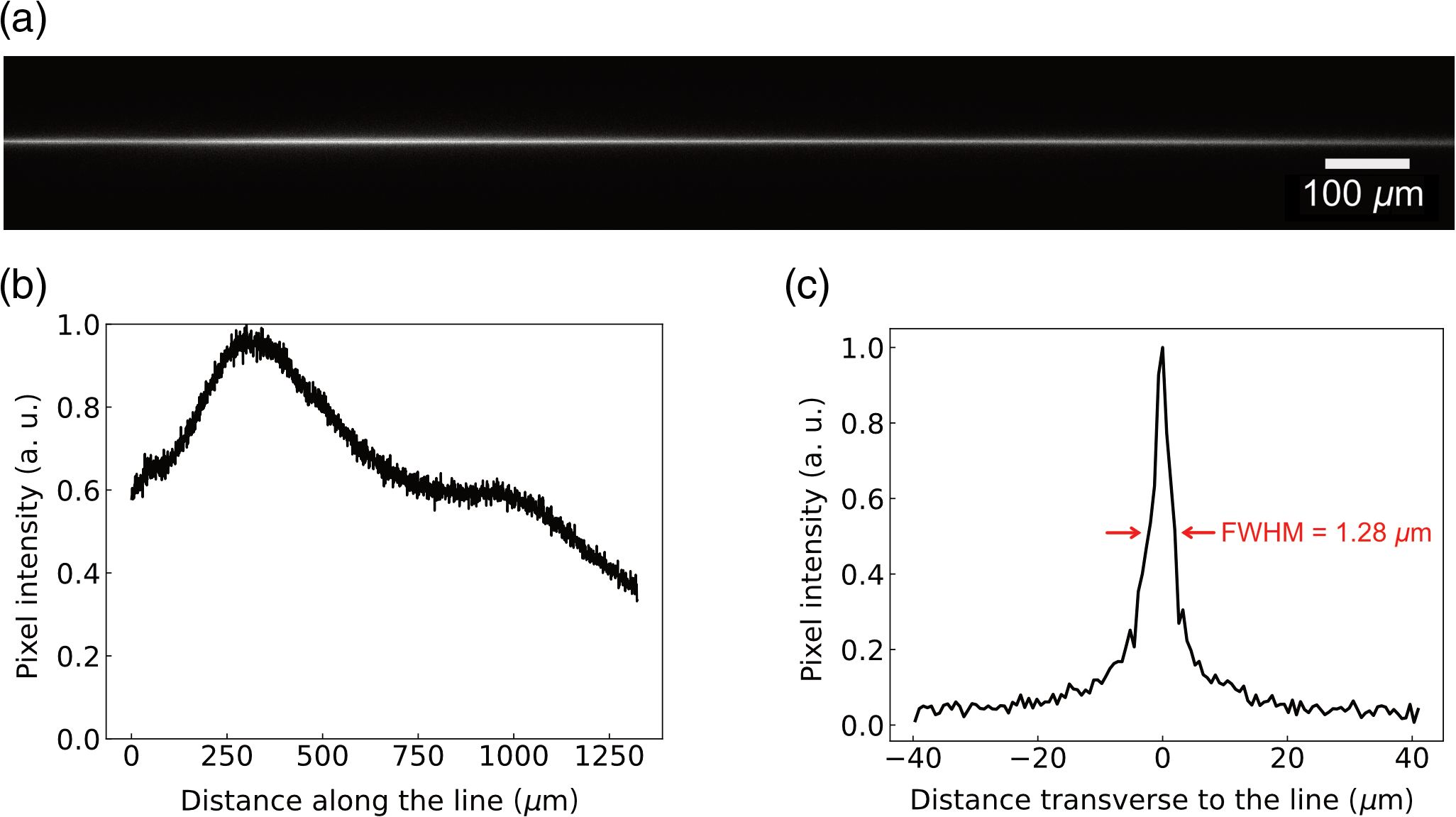 Millimetric scale two-photon Bessel-Gauss beam light sheet microscopy ...