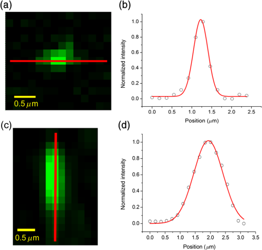 High-throughput Spatial Light Modulation Two-photon Microscopy For Fast ...