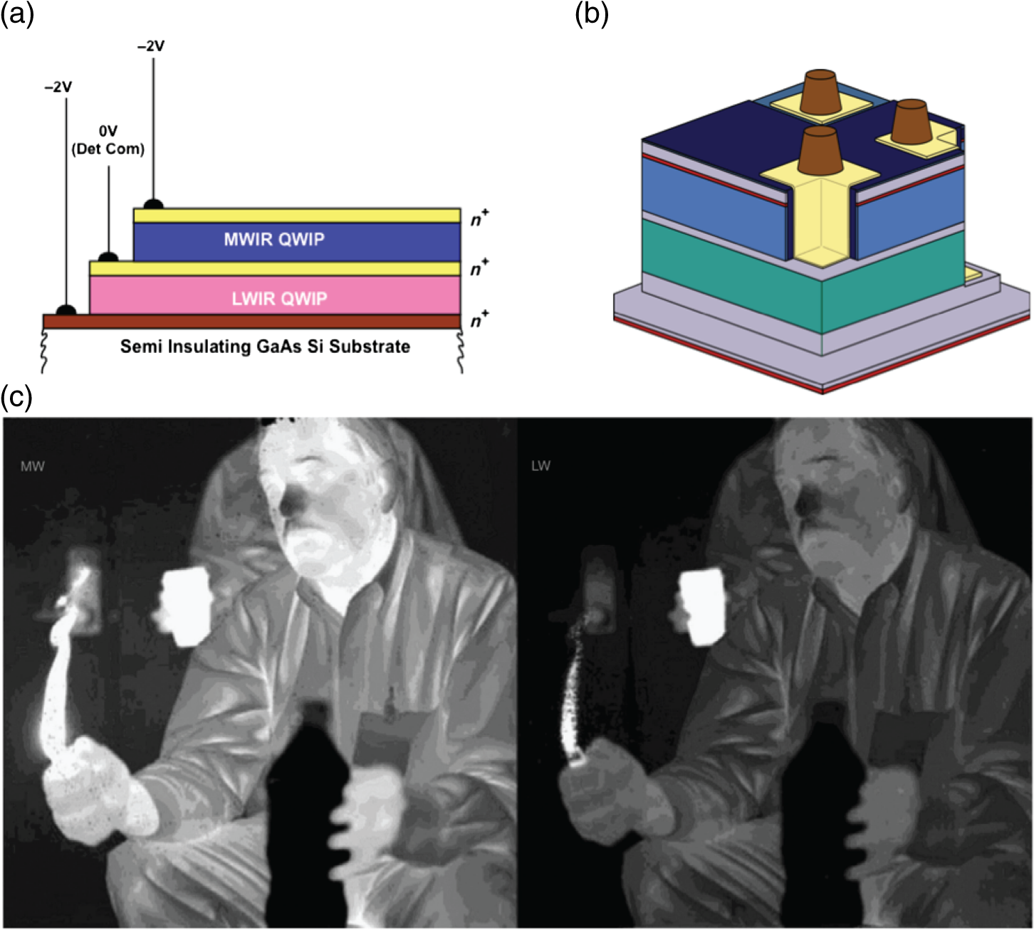 Infrared Imaging: A Potential Powerful Tool For Neuroimaging And ...