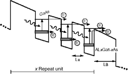 Infrared imaging: a potential powerful tool for neuroimaging and ...