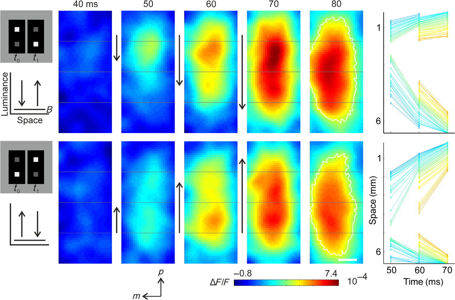 Catching the voltage gradient—asymmetric boost of cortical spread ...