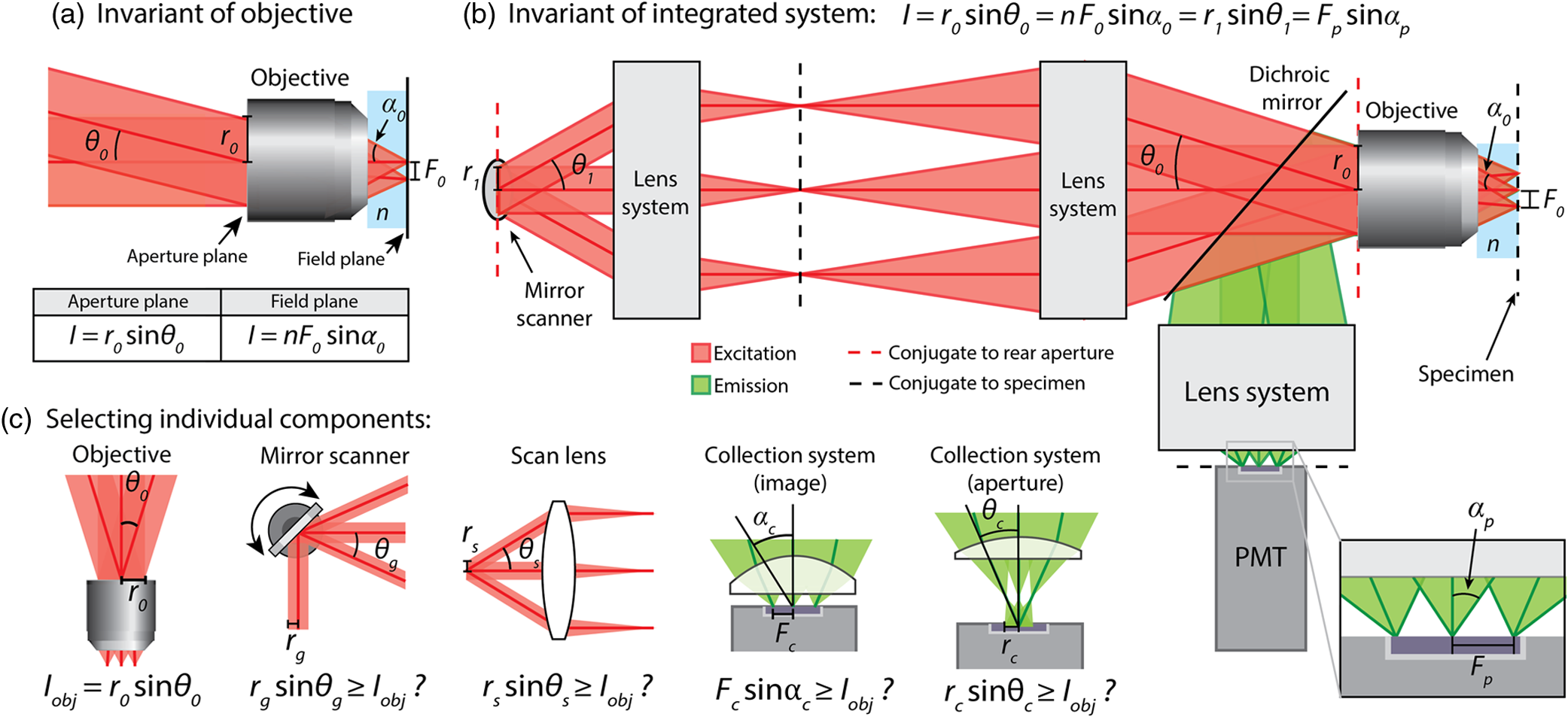Designing A Large Field Of View Two Photon Microscope Using Optical Invariant Analysis