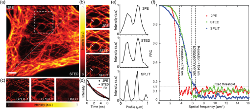 Figure 3 from Stimulated Emission Depletion (STED) Microscopy: from Theory  to Practice