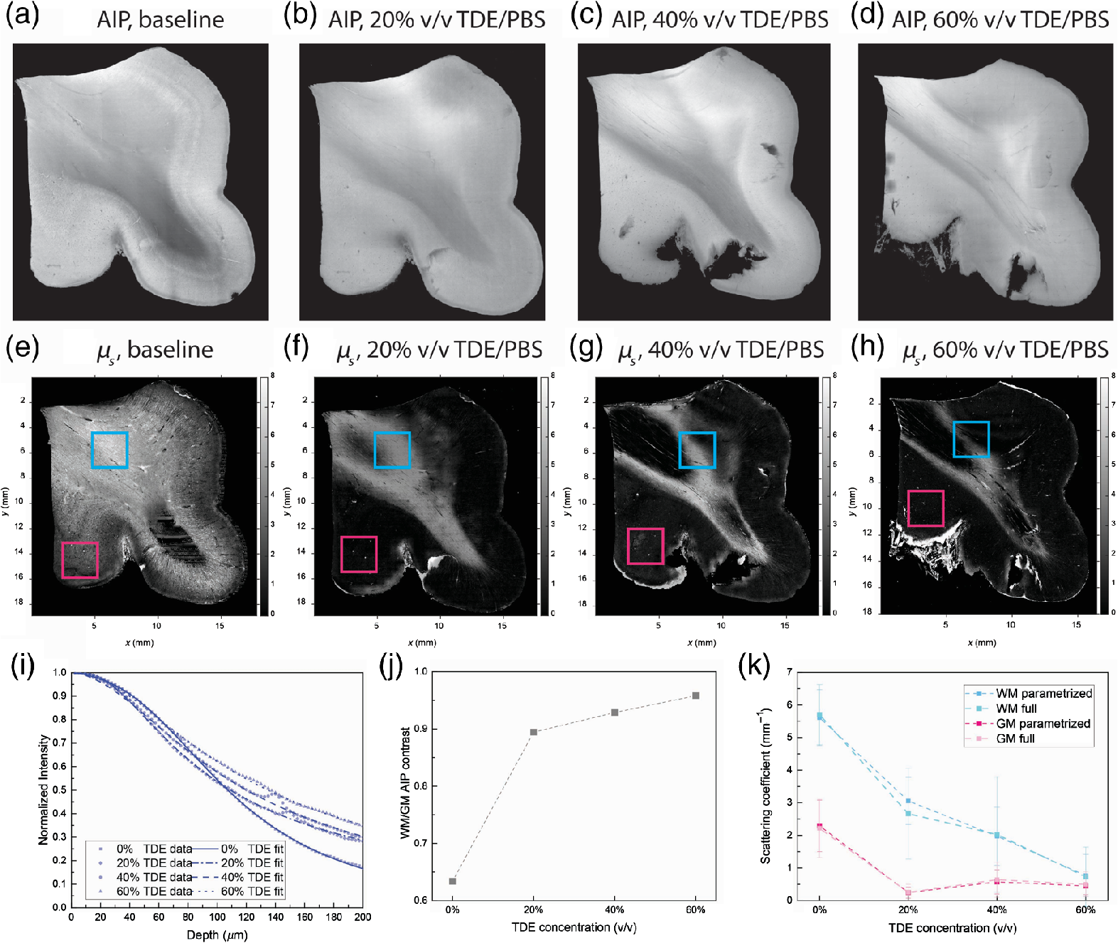 Improving The Characterization Of Ex Vivo Human Brain Optical Properties Using High Numerical Aperture Optical Coherence Tomography By Spatially Constraining The Confocal Parameters