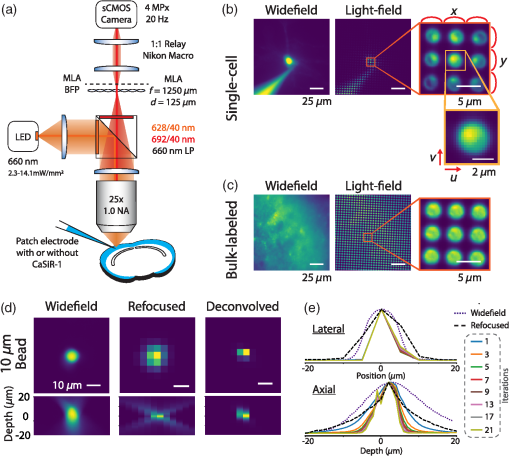 Comparing synthetic refocusing to deconvolution for the extraction of ...