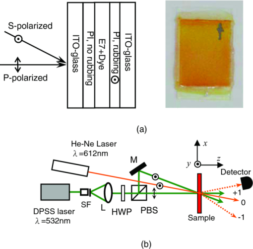 Dye adsorption induced nonvolatile reading of erasable polarization ...