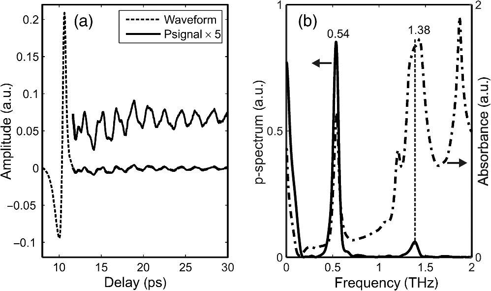 024 lactose monohydrate: the reflected waveform with the p