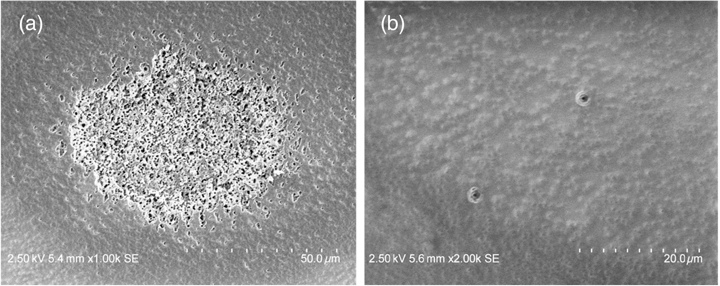 Laser-induced Damage Of Intrinsic And Extrinsic Defects By Picosecond ...