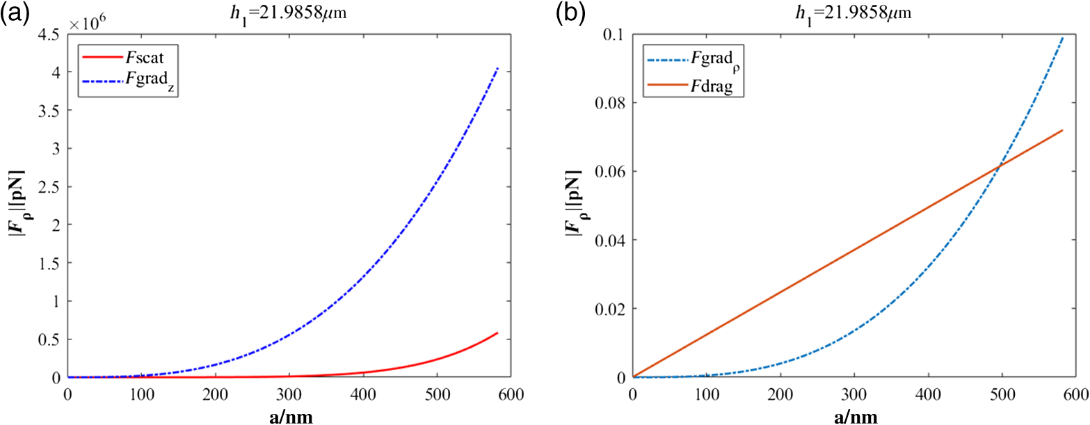 Study on optical hierarchical sorting of particles based on the 