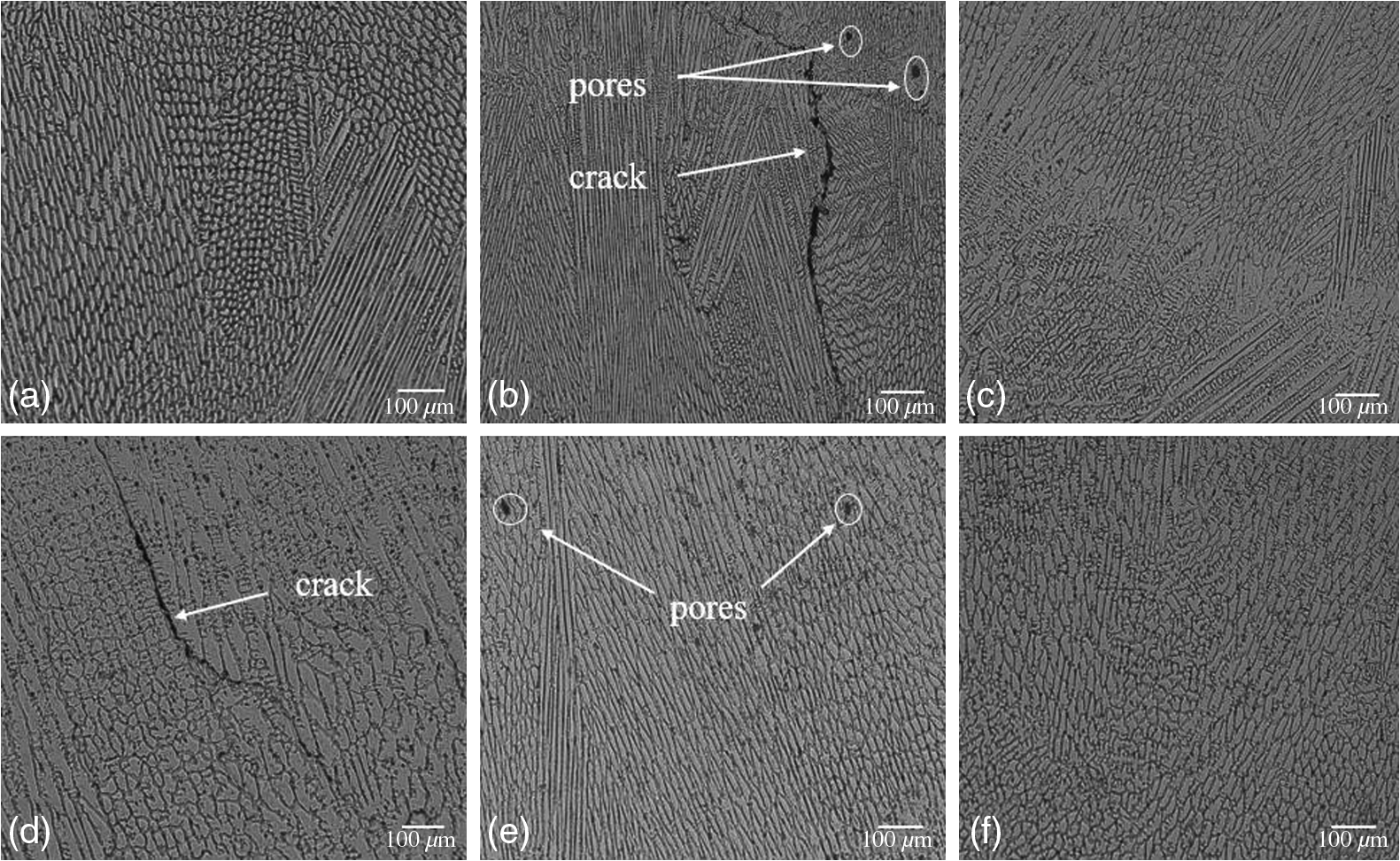 Morphology of the In/InOx system. (A) Scanning electron microscopy