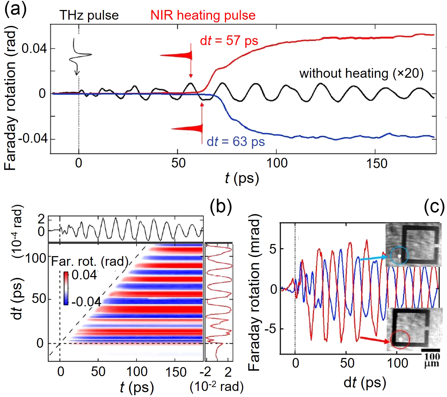 Terahertz spin dynamics in rare-earth orthoferrites