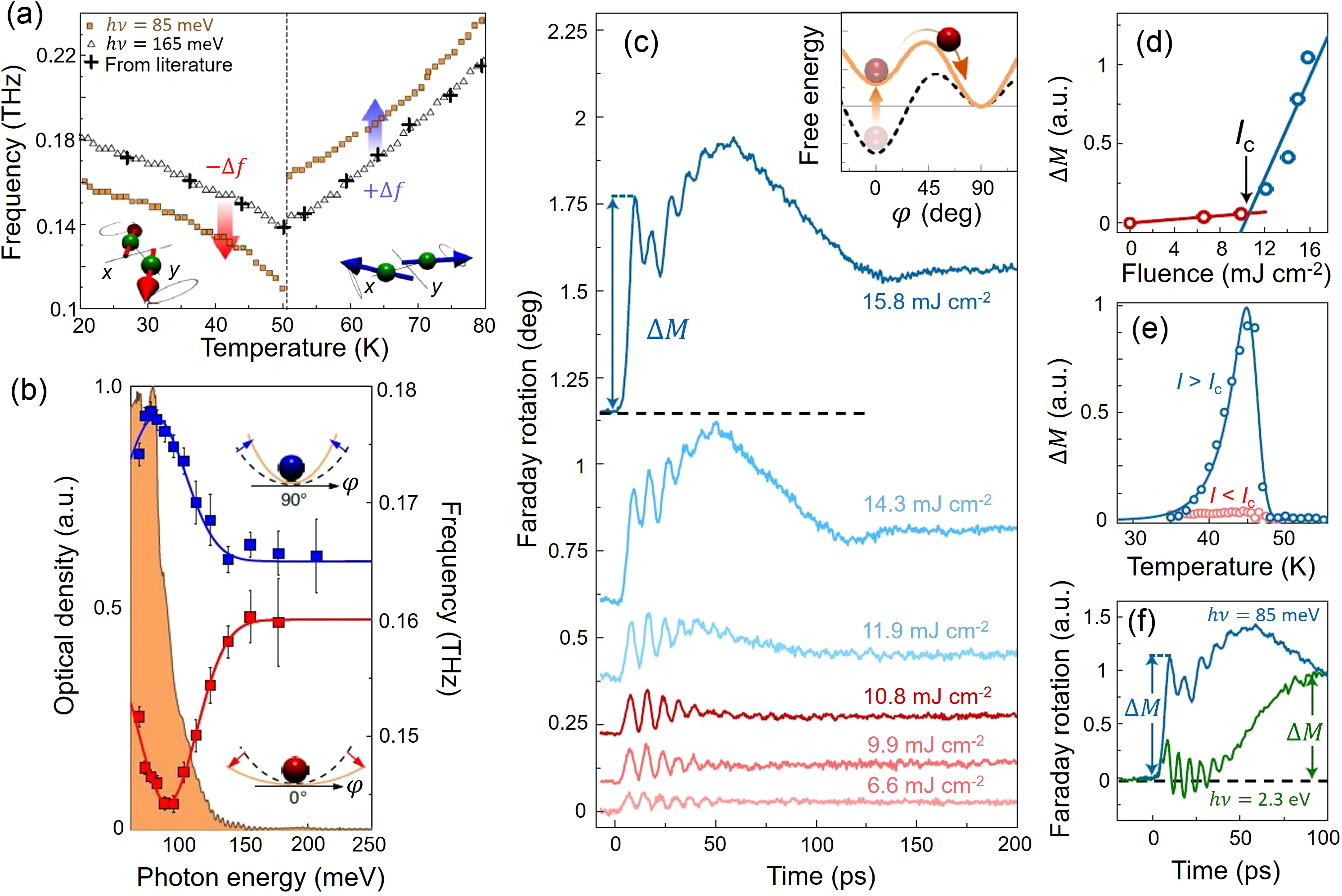 Terahertz Spin Dynamics In Rare-earth Orthoferrites