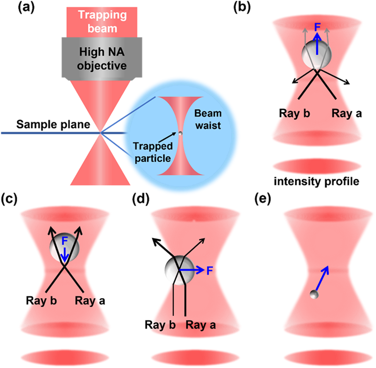 Optical manipulation: from fluid to solid domains