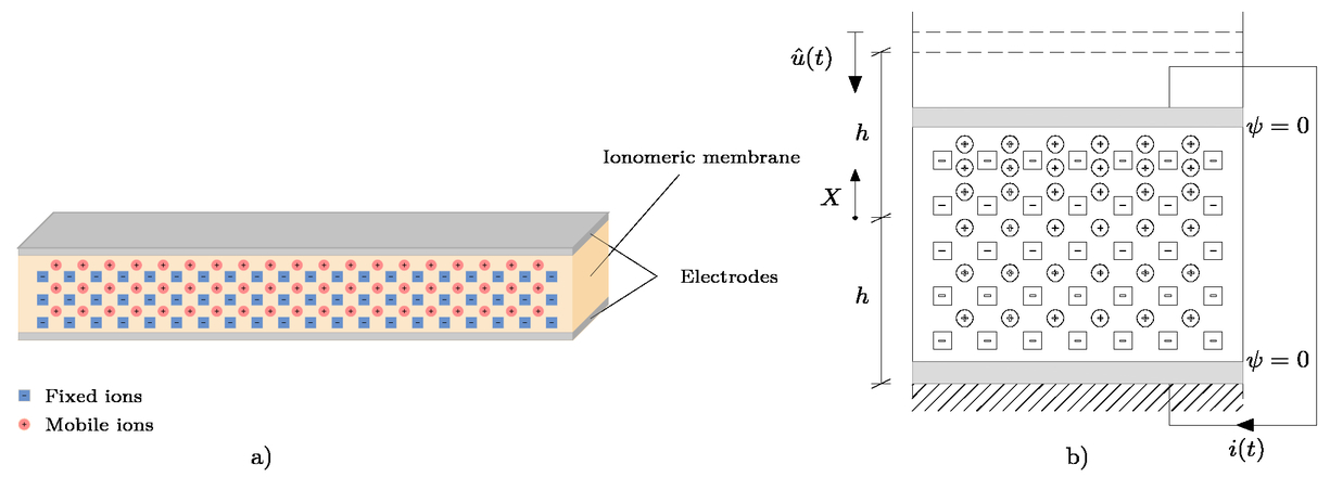A Theoretical Framework For The Study Of Compression Sensing In Ionic Polymer Metal Composites
