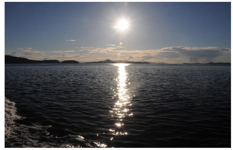 Blue sun reflected from water: optical lessons from observations of nature