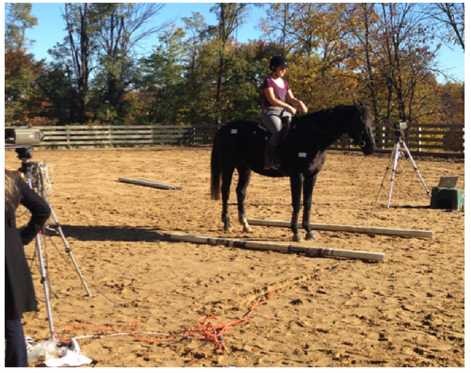 ride equestrian simulation software developer