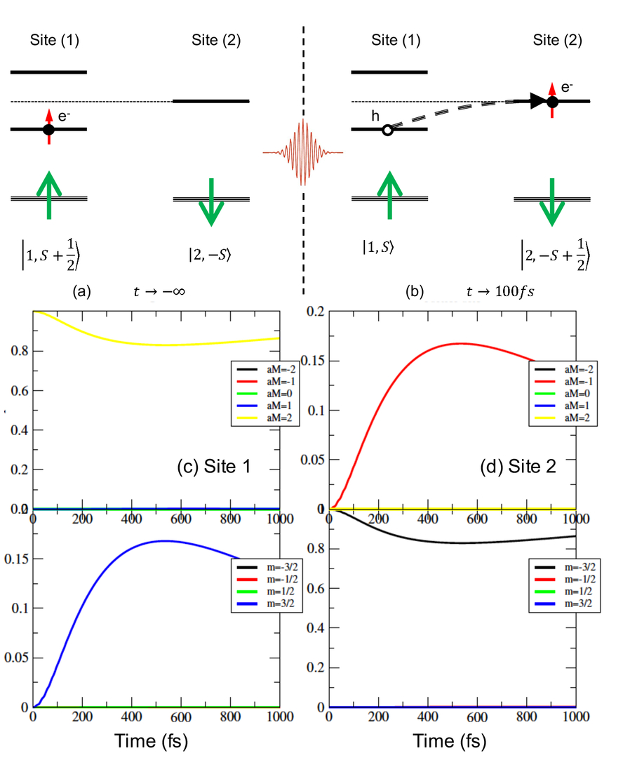 Theory Of Ultrafast Spin Charge Quantum Dynamics In Strongly Correlated Systems Controlled By Femtosecond Photoexcitation An Application To Insulating Antiferromagnetic Manganites