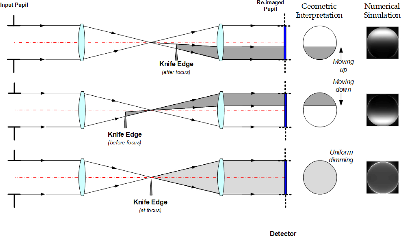 A simple, dual knife-edge test for phasing segmented aperture space  telescopes