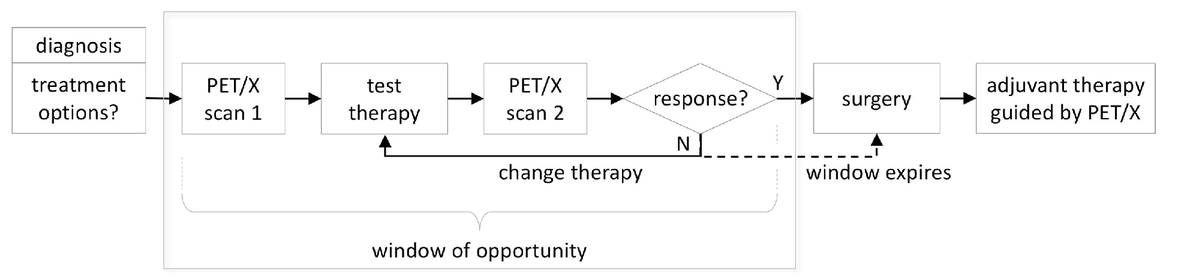 Xscan 3 2 14 commentary