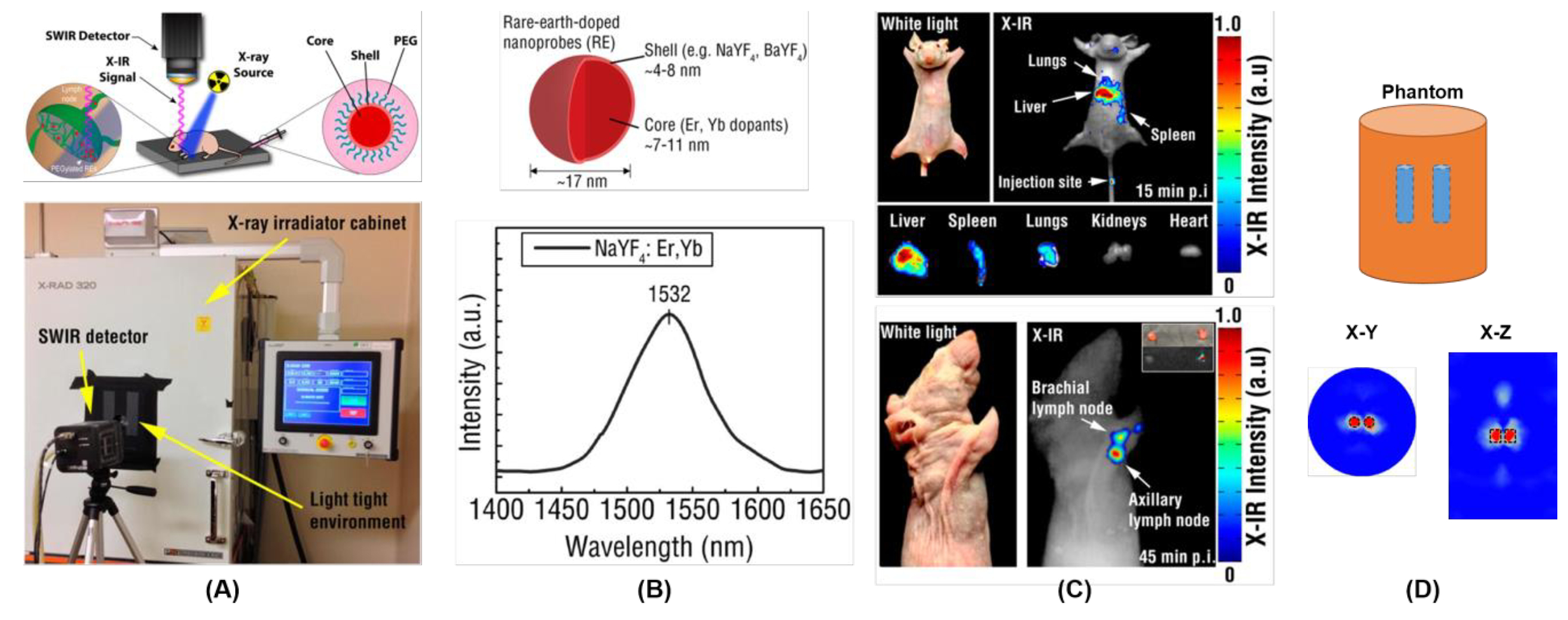 A) Dual-modality benchtop XFCT and CBCT imaging system. SDD