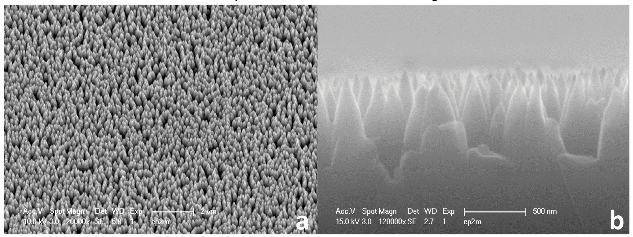 Black Silicon Bs Using Room Temperature Reactive Ion Etching Rt Rie For Interdigitated Back Contact Ibc Silicon Solar Cells