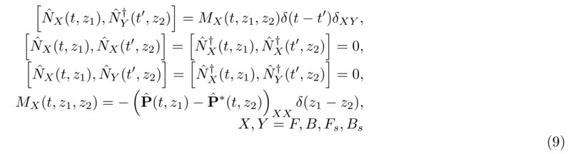 Quantum Fluctuations Of Pump And Stokes Pulses In Raman Amplifier