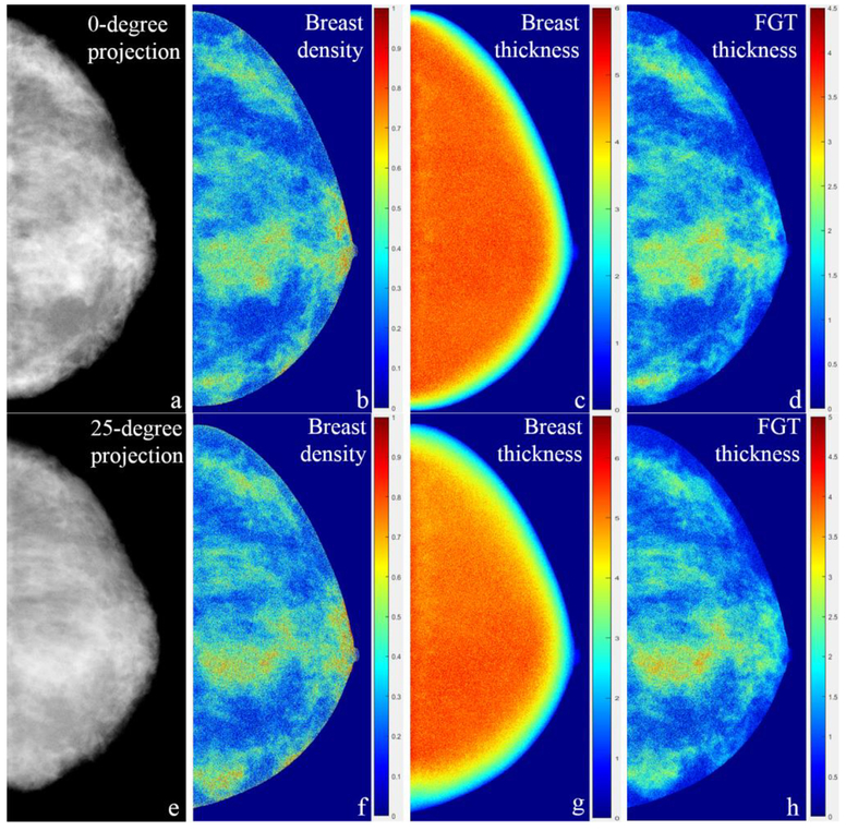 PDF] Three-Dimensional Imaging and Breast Measurements: How Predictable Are  We?