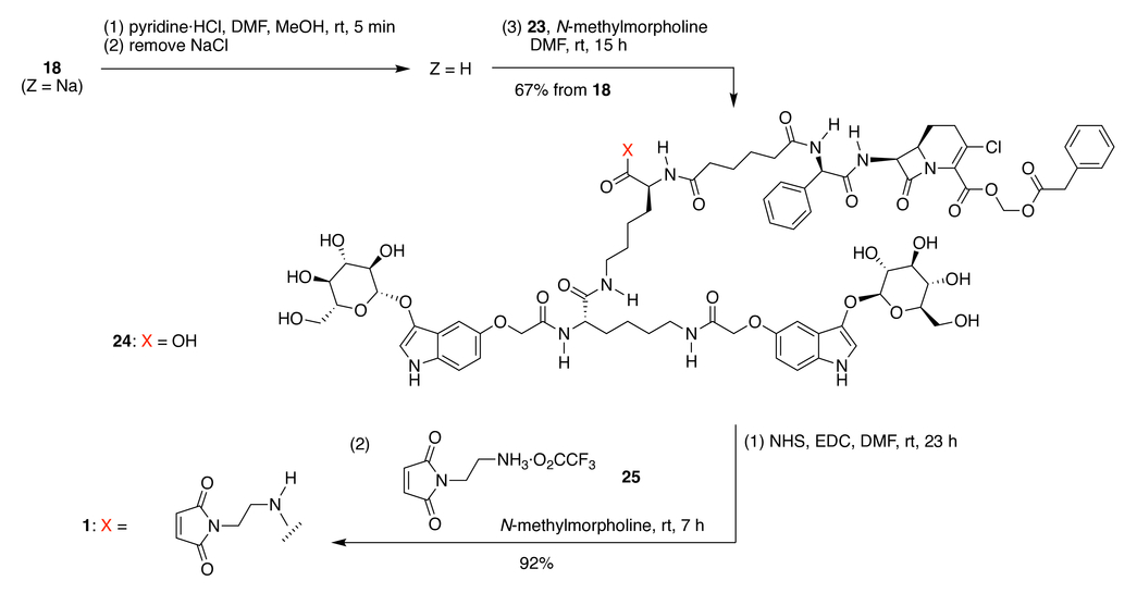 Peptide Based Scaffolds For In Vivo Immobilization And Enzyme Attachment In Therapeutic Applications