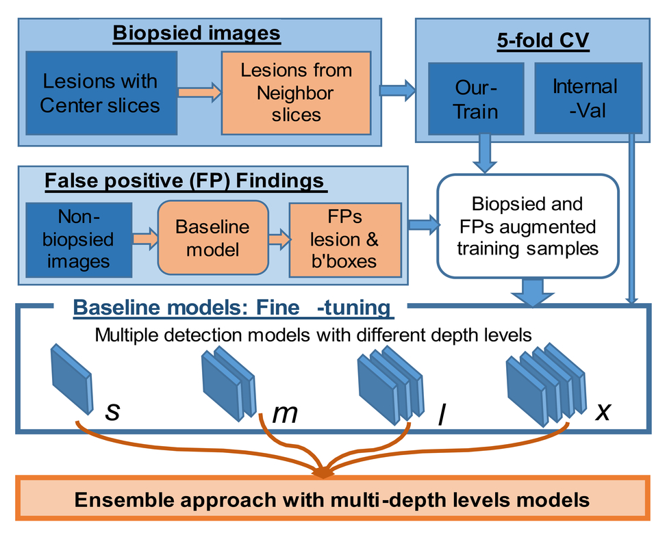 Boxes and packages weighing : FP.BCSD Scale