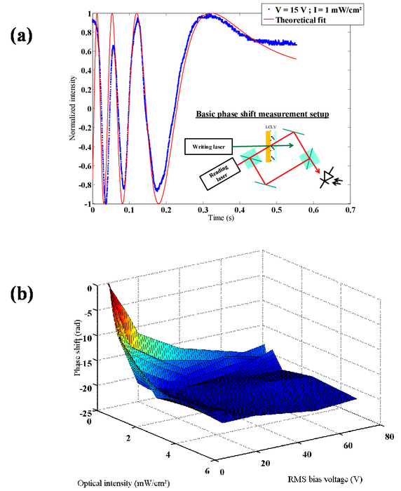 Voltage Controlled Adaptive Holographic Interferometer Using