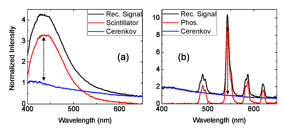 Dosimetry