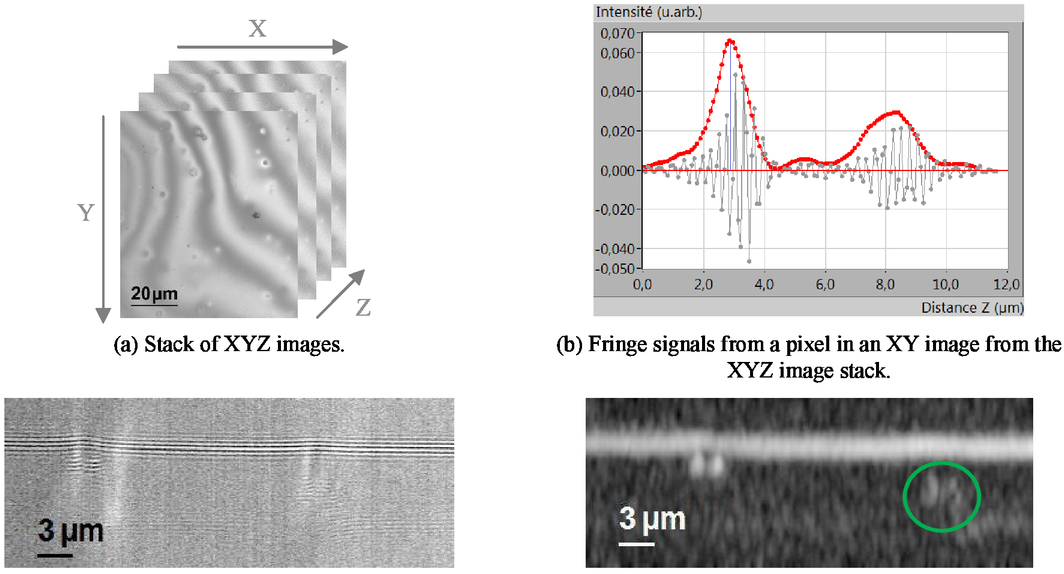 Detection Of Defects In A Transparent Polymer With High Resolution Tomography Using White Light Scanning Interferometry And Noise Reduction