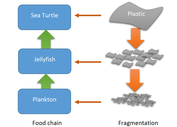 Here Today Gone Tomorrow Biodegradable Soft Robots