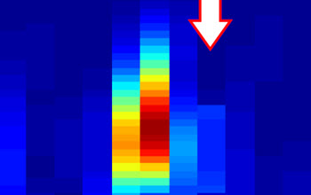 <img alt="graphic for JBO Special Section on Advances in Terahertz Biomedical Science and Applications">